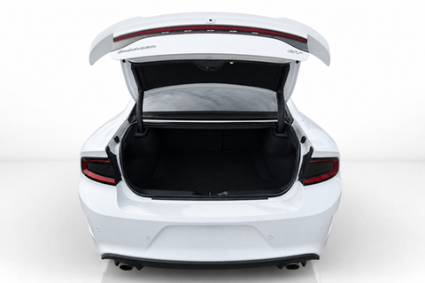 2022 Dodge Charger — view 7