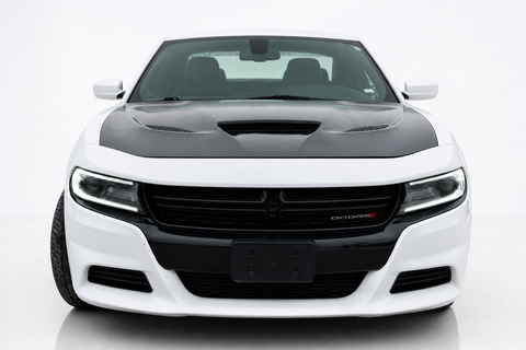 2020 Dodge Charger — view 2