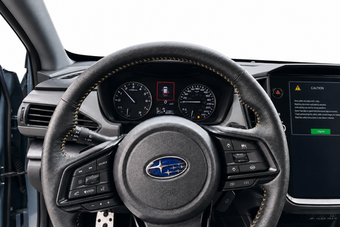 2024 SUBARU Crosstrek — view 9